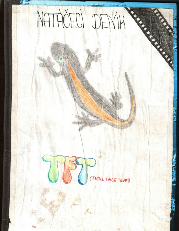 Titulní strana