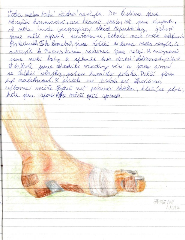 Den D obr.