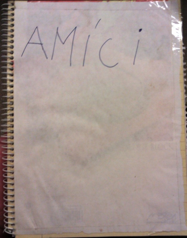 front_Amici